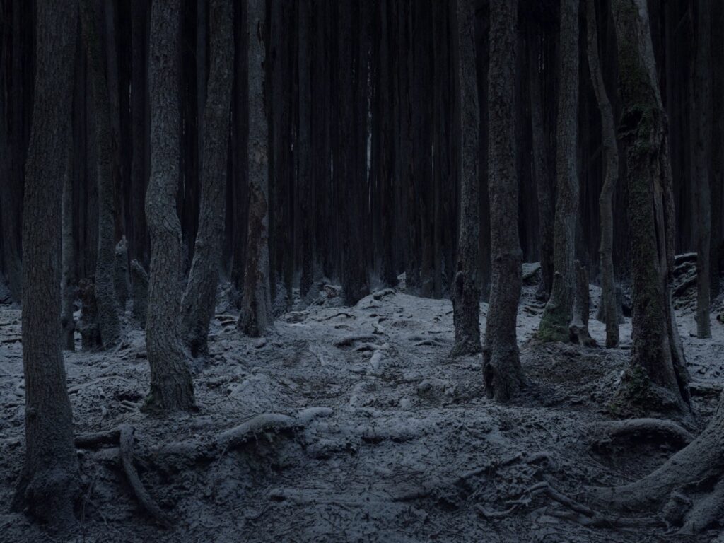 NULL_FR_GRADE_06_REC709_2398FPS_STEREO_PRORES_422_HQ_V02.00_09_03_11.Still031